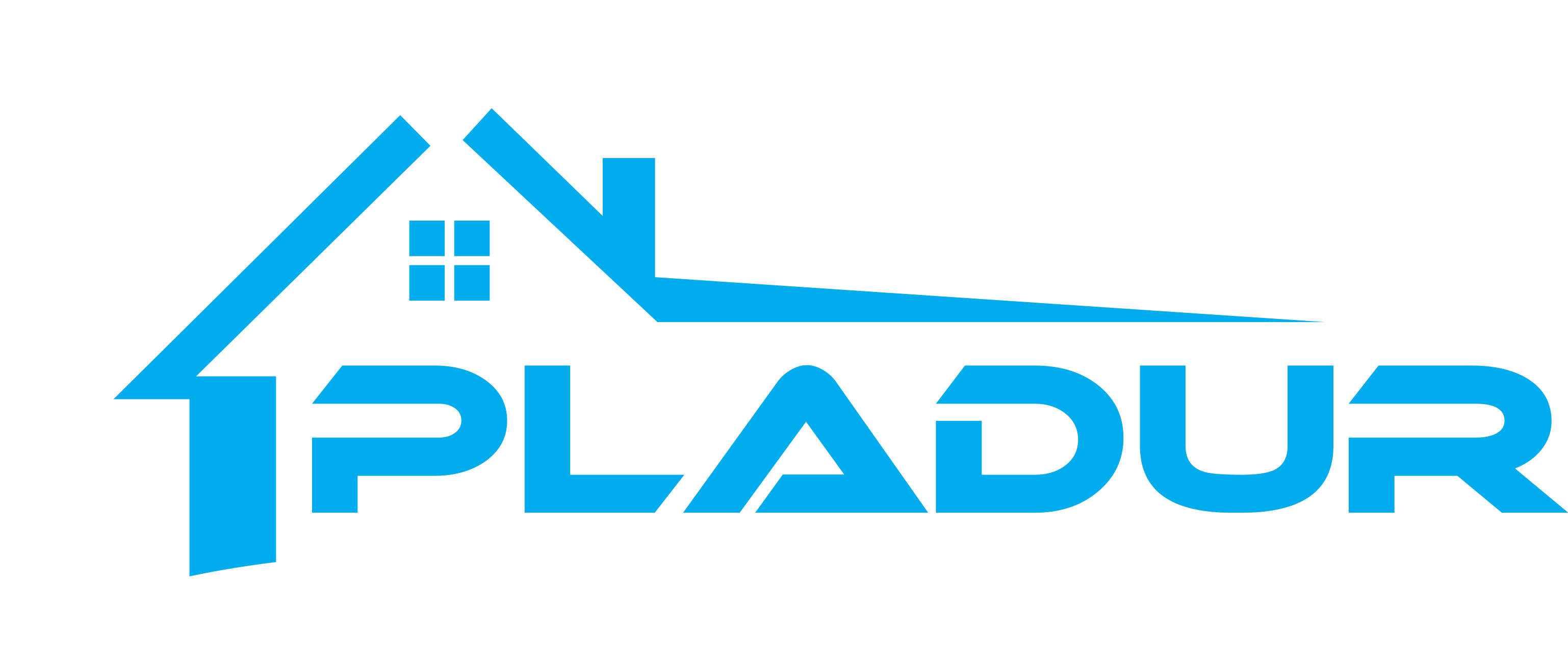 Pladur-Ibiza-logo-azul-y-blanco-